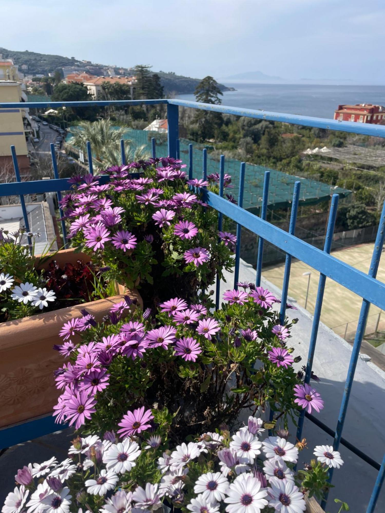 Ferienwohnung Sea&Skyview Sorrent Exterior foto